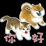 柴柴與貓咪 pack2