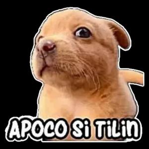 APOCO Si Tilin - getsticker.com