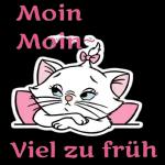 Marie kommt！！！