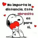 ¡Feliz día del amor y la amistad!