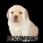 hola soy flork