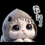 0107-tw-鲨鱼头猫猫