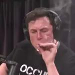 Memes
                    
Stickers | Stikery