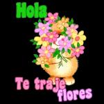 Tu sticker exclusiva ha sido entregada