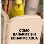 CÓMO BAÑARME SIN ECHARME AGUA