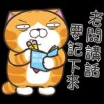 白爛貓45☆打工仔☆