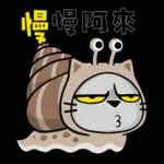 貓爪抓歡喜供台語
