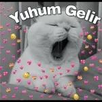 Have a deep breath🫁