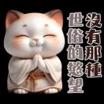 可愛暹羅貓的日常