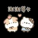 Hello Kitty 50週年 x 天竺鼠布丁 溫暖日常