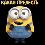 Приколы