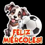 feliz miercoles