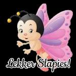 Lekker Slapies!