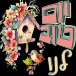 יאיר רומר כאור החמה
