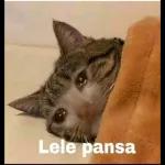 Mi ropa es ancha para que quepa mi ego y yo