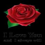 Flowers only for you💐💐💐