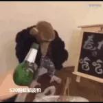 Monkey
