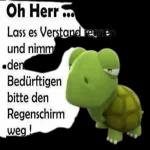  Nachmittag