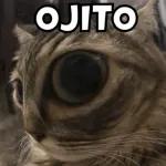 JAh caray, esosi me interesa