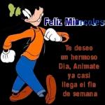 Feliz Miercoles Te deseo un hermoso Dia, Animate ya casi llega el fin de semana