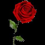 @al_mezaiyen بحبك يا ستمونى