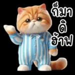 แมวขี้โมโหในชุดนอนสีอ่อน