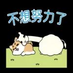 柴語錄 X 水豚君-