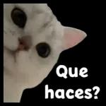 chismoso