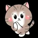 Cats! For reply