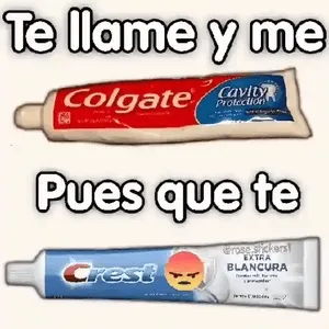 6ogNts