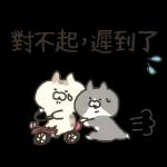 三只小猫生活日常☆ 2