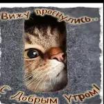 с добрым утром 