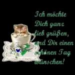 Bussi
2