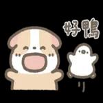 天竺鼠布丁～～超可愛鴨