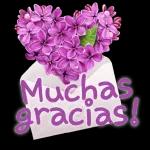gracias!!