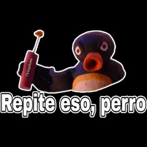 XLaZ7O