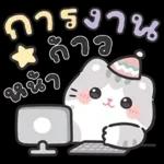 แมวมาร์คัส V.3 : HNY