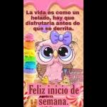 feliz inicio  