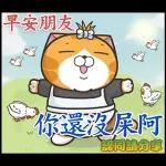 白爛貓11☆超級萌☆