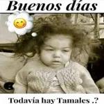 tamales 