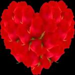 YacownquieroVERZE@Mycute_stickers