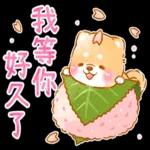 和菓子❤療癒柴犬❤