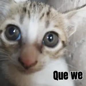 aMFugd