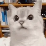Tô exausta