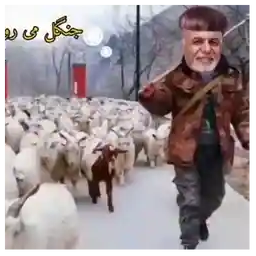 ملصقات 