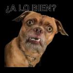 ¿A LO BIEN?