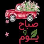 جديد