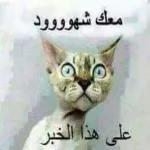 اليوم 