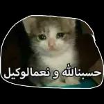 مازن العثمانى