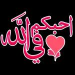 احبكم فى الله
